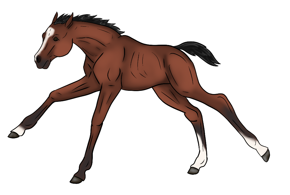 Varsarakenne