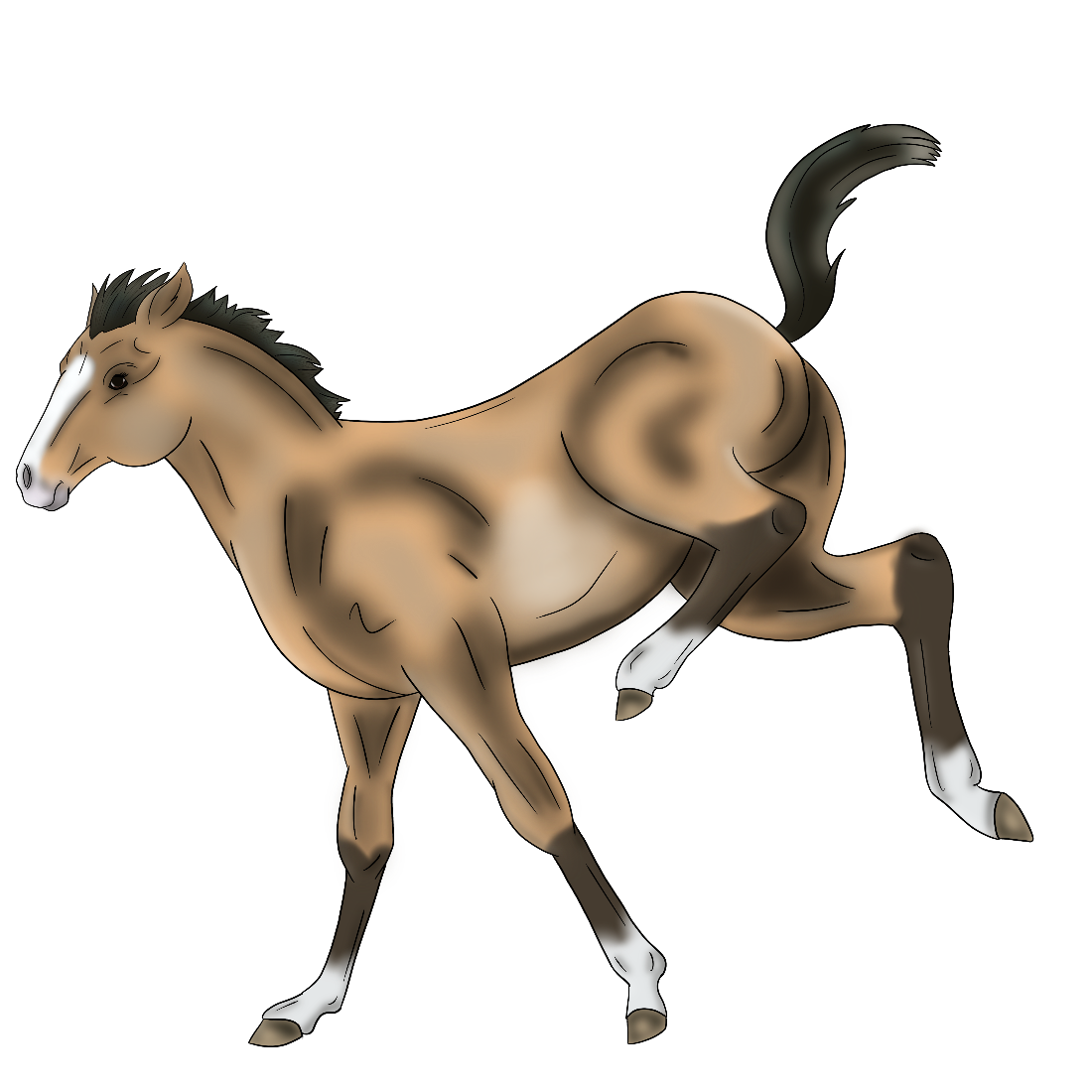 Varsarakenne